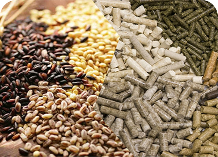 Сельхозсырьё и корма